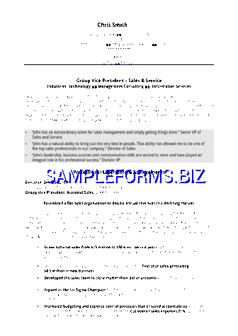 Executive Resume Sample For Sales VP doc pdf free